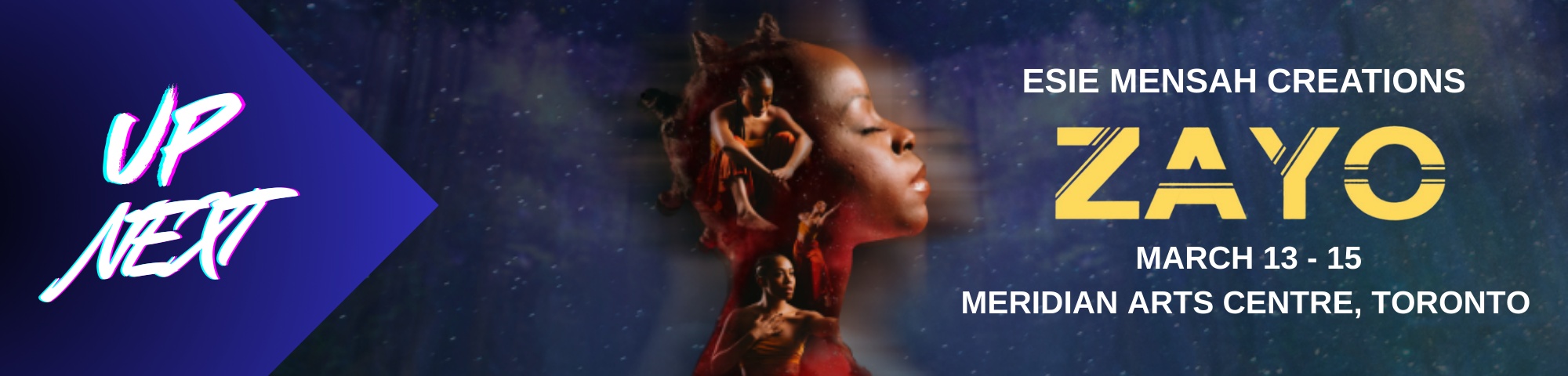 ZAYO Banner (002) Image